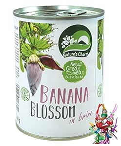 yoaxia ® - [510g/260g ATG] Banana Blossom, Salty Pickled / Vegan Meat Substitute / Banana Blossom + a Small Lucky Charm Free