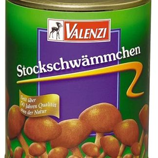 Valenzi Stick Sponge 850 ml Tin