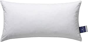 Billerbeck 3 Chamber Pillow | Aida | 40 x 80 cm | Suitable for House Dust Allergy Sufferers | Firm Support | Washable up to 60 °C