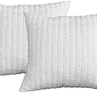 Evergreenweb - Memory Foam Pillows - 2 pack Sofa Cushions size 45x45 cm, Shredded Memory Flake Foam, Soft padding effect Goose Feather, Crushproof - Antibacterial white Pillowcase, Hypoallergenic Cover, Quilted, Breathable, Pair of Orthopaedic Pillow for Cervical Neck Pain, Relieves from Migraines and Snoring, perfect with all kinds of Beds, Mattresses and Sofa Bed, Bedroom or Living Room Pillows, High Quality Cushion Pad inners, Insert Fillers Memory Foam - 100% Made in Italy - PRIME OFFERS !