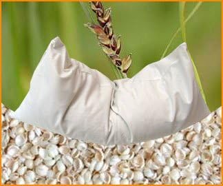 Organic Millet Cushion 40 x 40 cm with Lining Made from 100% Organic Cotton