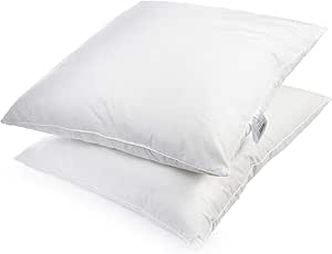 H&F Heimtextilien Set of 2 premium quality pillows, 80 x 80 cm, filling: 1500 g Feathers, Goose Feathers, 100% Natural Pillow, Cover: 100% Cotton, Feather Cushion, 80 x 80 cm