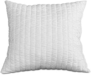 Evergreenweb 50 x 50 cm Hypoallergenic Memory Foam Pillow Inner Cushion for Sofa Bed Living Room