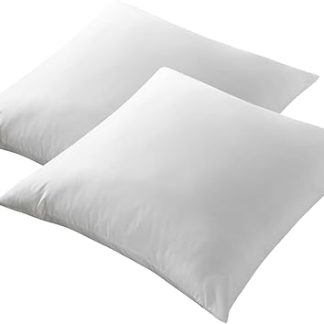 Moln Pillow 65 x 65 cm, Set of 2, Oeko-Tex Certified Pillows, with 100% Microfibre Filling, Machine Washable Sleeping Pillow