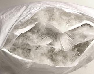 Betten Hofmann Luxury Three-Chamber Pillow 40 x 60 cm Down Pillow Neck Pillow 3 Chamber with Soft Down Cover Natural Product