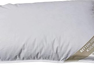 Betten Hofmann Pillow 40 x 60 cm 250 g Down Pillow 100% New Down Filled Washable