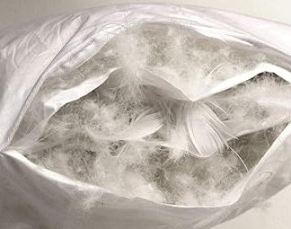 Betten Hofmann Luxury 3-chamber pillow 80 x 80 cm, pillow, cushion, feel-good pillow with soft down cover, breathable, washable, 100% natural product