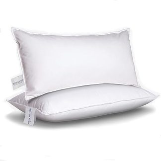 BEFA NATUR Feather Cushion 50 x 70 cm Made of 100% Feathers, Oeko-Tex 100 Class 1 Certified, Downpass Program and Prices for Hotels and Business Customers