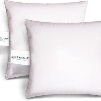 BEFA NATUR Made in Germany Feather Cushion, 40 x 40 cm, Made of 100% Feathers, Suitable for Allergy Sufferers (Nomite), Oeko-Tex 100 Class 1 Certified, EN Standard 12934, Downpass (Pack of 2)