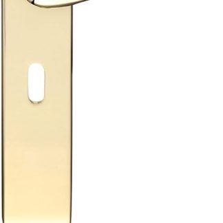 Fulton and Bray Arundel Door Handle on Long Backplate - Lockset - Polished Brass